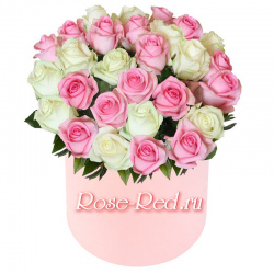 Нежная любовь