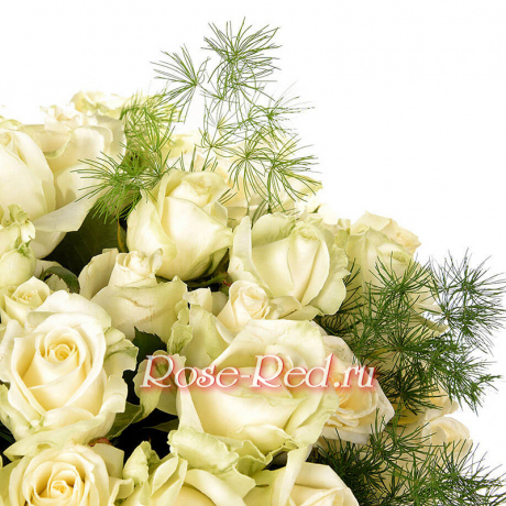 Свет далекой звезды