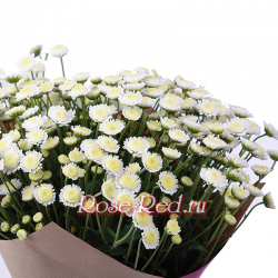 Звездная россыпь