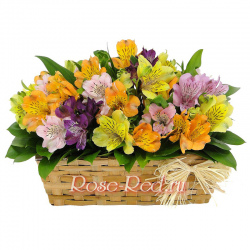 Светлые чувства