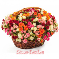 Розовое счастье