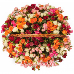 Розовое счастье