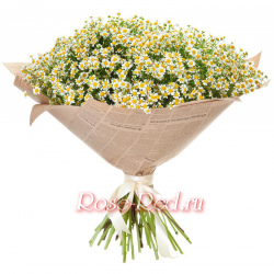 Любовь и верность