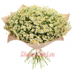 Любовь и верность