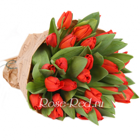 Букет 25 красных тюльпанов в крафте