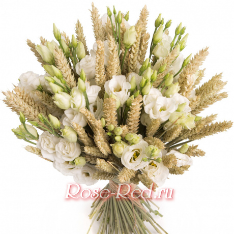 Жаворонок полевой