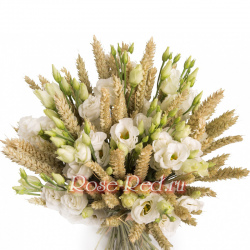 Жаворонок полевой