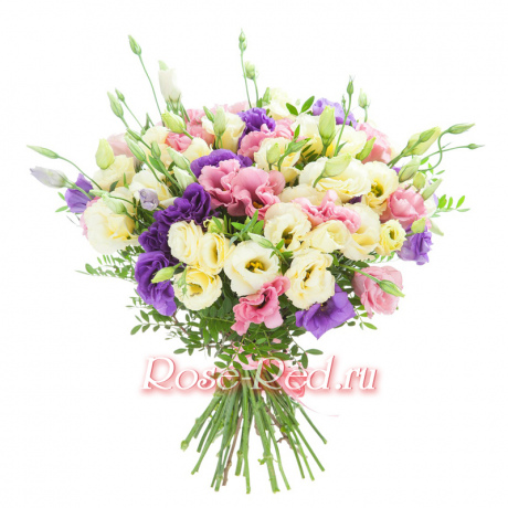 Вольный ветерок