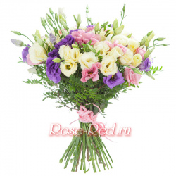 Вольный ветерок