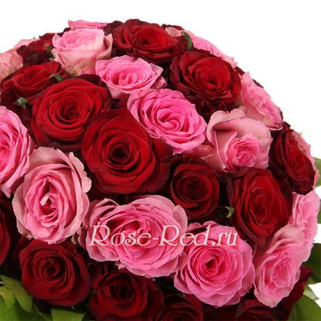 Любимый завиток