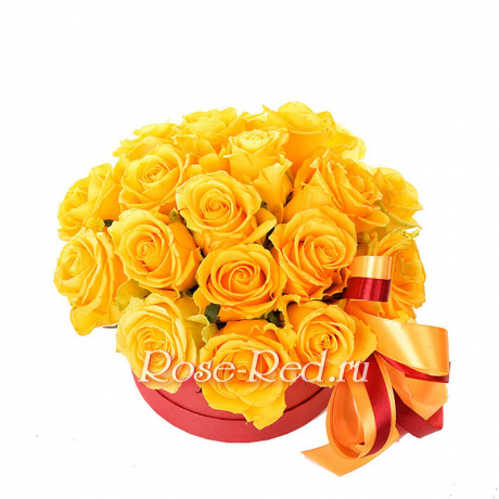 Медовая любовь