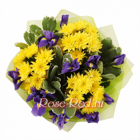 Море позитива