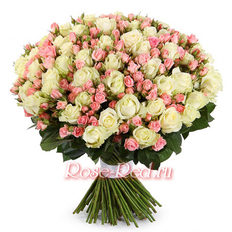 Розовое облако