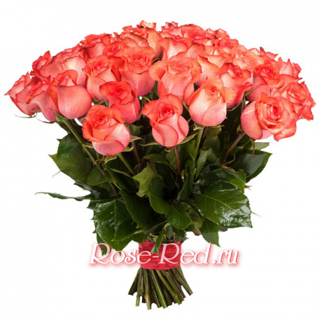 Коралловая мечта