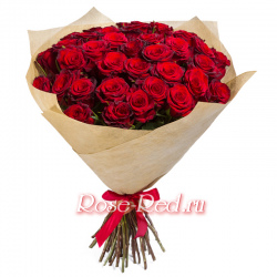 Бархатная ночь