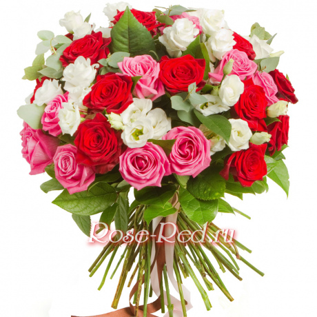 Экспрессия