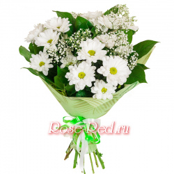 Ромашковое лето