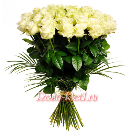 Затерянный рай