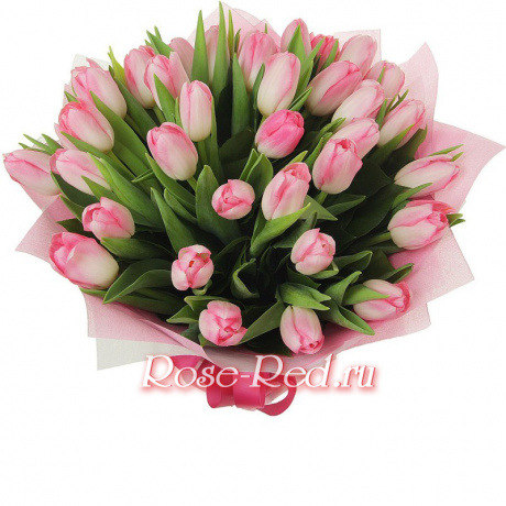 Очарование весны