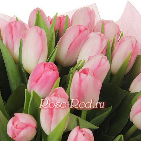 Очарование весны