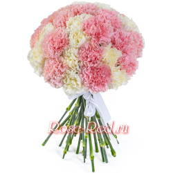 Гвоздичный аромат