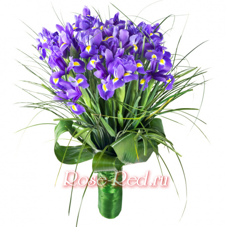 Ласковый прибой