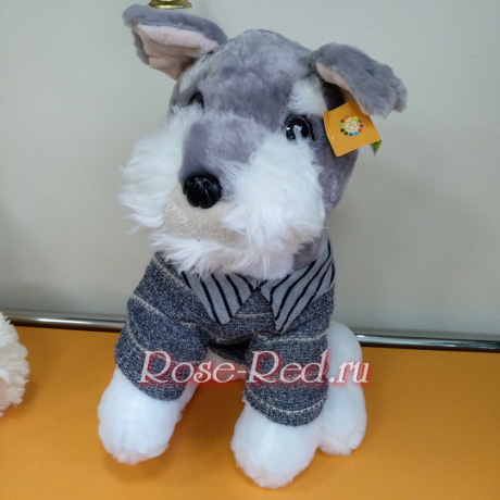 Очаровательный терьер