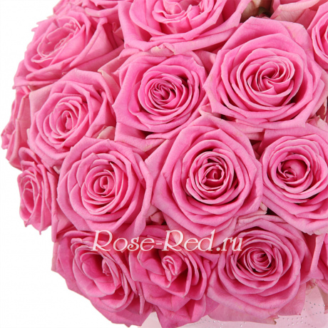 В розовом саду