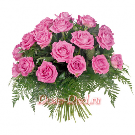 Розовая долина. Розовые розы с зеленью