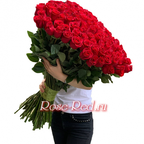 Метровые красные розы