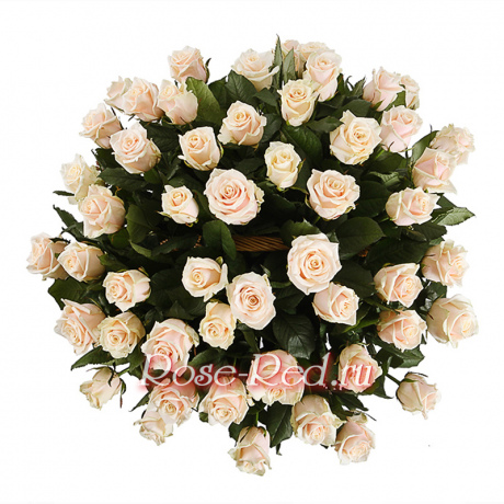 Жемчужная россыпь