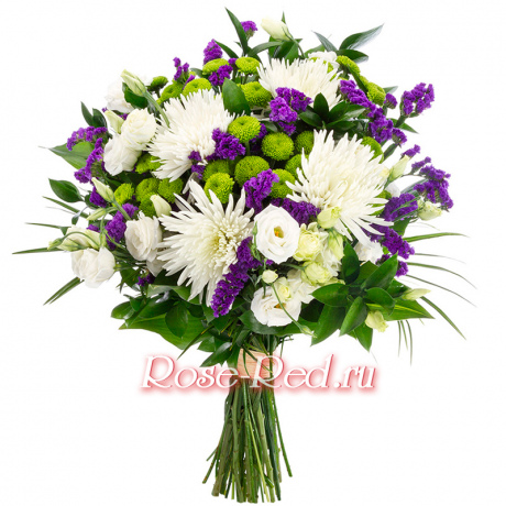 Морская звезда