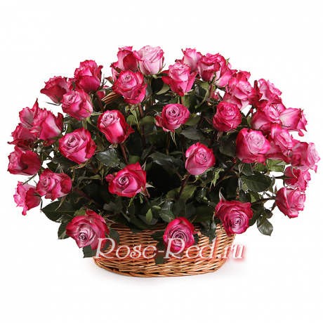 Изысканная роскошь