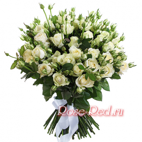 Белый лебедь