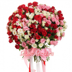 Пленительная красота