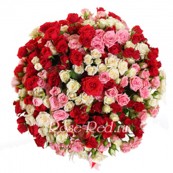 Пленительная красота