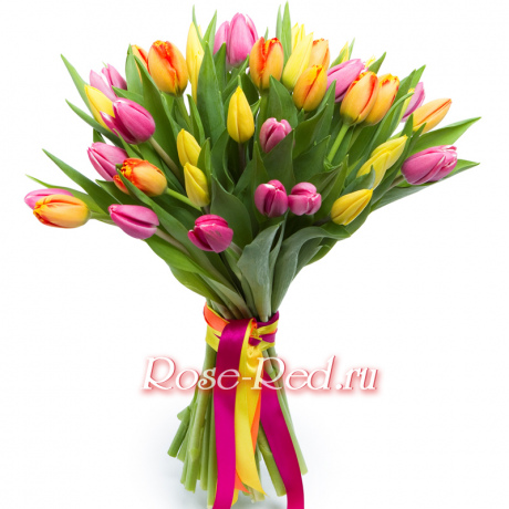 Яркие краски жизни