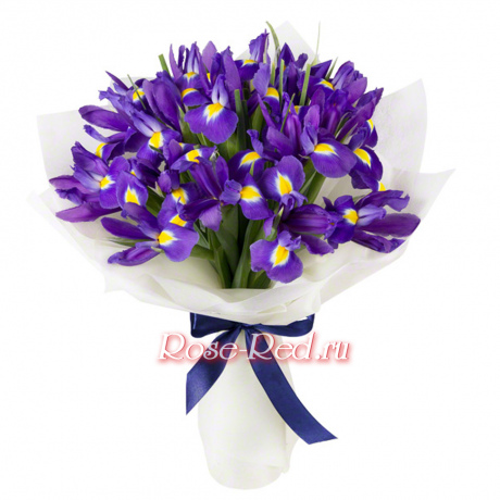 Радужные мечты